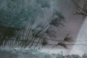 Decorative-Grass-Reflection-Hottub